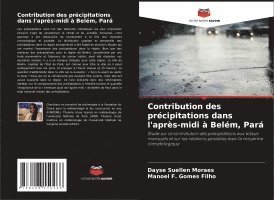 bokomslag Contribution des prcipitations dans l'aprs-midi  Belm, Par