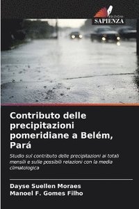 bokomslag Contributo delle precipitazioni pomeridiane a Belm, Par