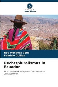 bokomslag Rechtspluralismus in Ecuador