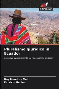 bokomslag Pluralismo giuridico in Ecuador