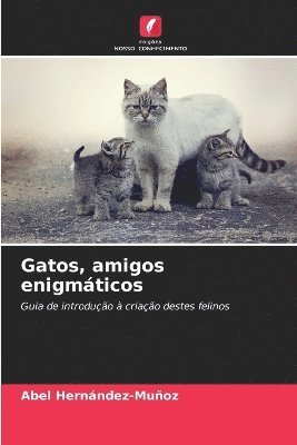 bokomslag Gatos, amigos enigmticos