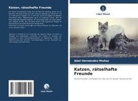 bokomslag Katzen, rtselhafte Freunde