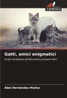 bokomslag Gatti, amici enigmatici