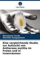 bokomslag Eine vergleichende Studie zur Aufzucht von Antheraea mylitta im Freien und in Innenrumen