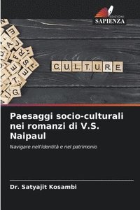 bokomslag Paesaggi socio-culturali nei romanzi di V.S. Naipaul