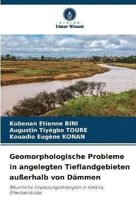 Geomorphologische Probleme in angelegten Tieflandgebieten auerhalb von Dmmen 1