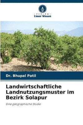 Landwirtschaftliche Landnutzungsmuster im Bezirk Solapur 1