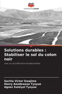 bokomslag Solutions durables