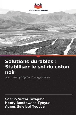 bokomslag Solutions durables