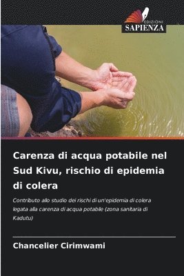 Carenza di acqua potabile nel Sud Kivu, rischio di epidemia di colera 1