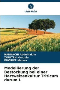 bokomslag Modellierung der Bestockung bei einer Hartweizenkultur Triticum durum L