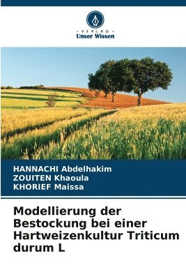 Modellierung der Bestockung bei einer Hartweizenkultur Triticum durum L 1