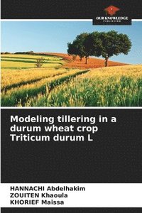 bokomslag Modeling tillering in a durum wheat crop Triticum durum L