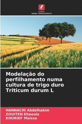 Modelação do perfilhamento numa cultura de trigo duro Triticum durum L 1