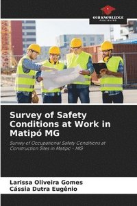 bokomslag Survey of Safety Conditions at Work in Matip MG