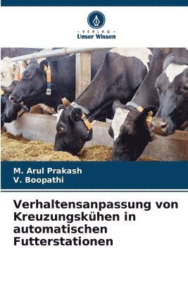 Verhaltensanpassung von Kreuzungskühen in automatischen Futterstationen 1