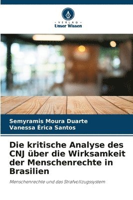 Semyramis Moura Duarte, Vanessa Érica Santos - kritische Analyse des CNJ über die Wirksamkeit der Menschenrechte in Brasilien, Häftad
