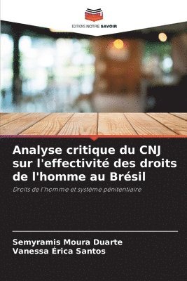 bokomslag Analyse critique du CNJ sur l'effectivit des droits de l'homme au Brsil