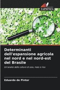 bokomslag Determinanti dell'espansione agricola nel nord e nel nord-est del Brasile