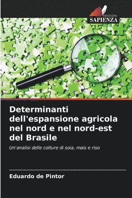 Determinanti dell'espansione agricola nel nord e nel nord-est del Brasile 1