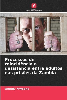 bokomslag Processos de reincidência e desistência entre adultos nas prisões da Zâmbia