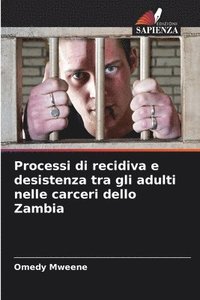 bokomslag Processi di recidiva e desistenza tra gli adulti nelle carceri dello Zambia