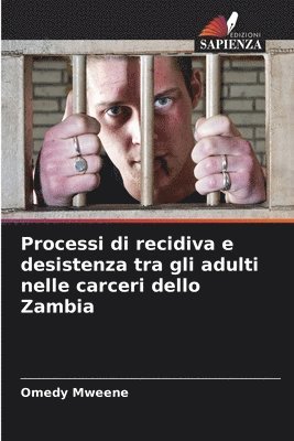 bokomslag Processi di recidiva e desistenza tra gli adulti nelle carceri dello Zambia