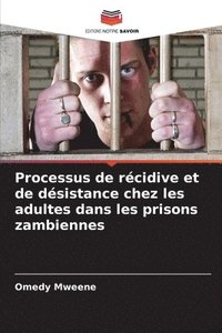 bokomslag Processus de rcidive et de dsistance chez les adultes dans les prisons zambiennes