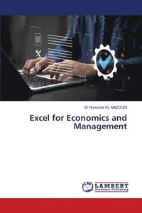 bokomslag Excel for Economics and Management