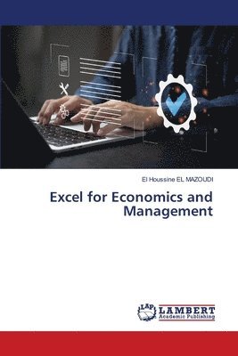 bokomslag Excel for Economics and Management