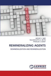 bokomslag Remineralizing Agents