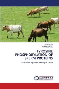 bokomslag Tyrosine Phosphorylation of Sperm Proteins