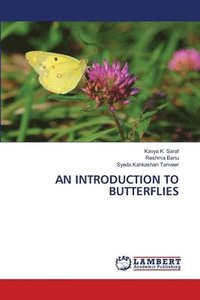 bokomslag An Introduction to Butterflies