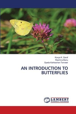 bokomslag An Introduction to Butterflies