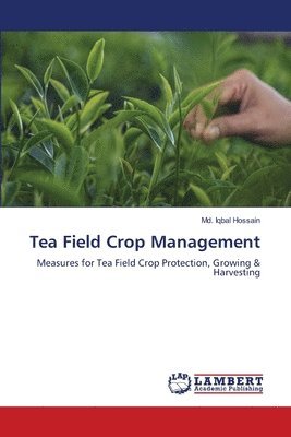 Tea Field Crop Management