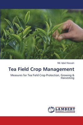 Tea Field Crop Management 1