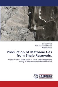 bokomslag Production of Methane Gas from Shale Reservoirs