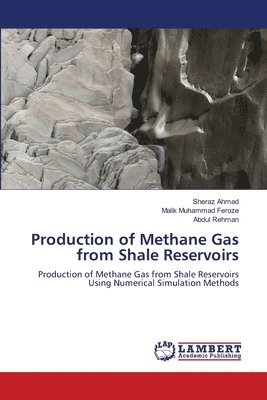 bokomslag Production of Methane Gas from Shale Reservoirs