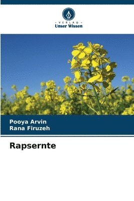 Rapsernte 1