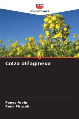 Colza olagineux 1