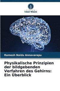 bokomslag Physikalische Prinzipien der bildgebenden Verfahren des Gehirns