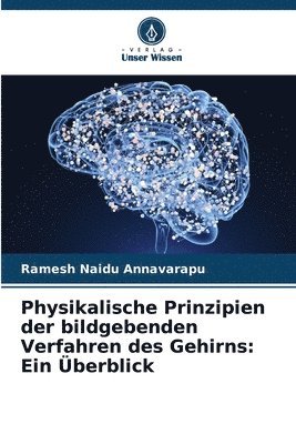 bokomslag Physikalische Prinzipien der bildgebenden Verfahren des Gehirns: Ein Überblick