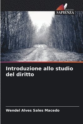 bokomslag Introduzione allo studio del diritto