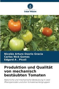 bokomslag Produktion und Qualitt von mechanisch bestubten Tomaten