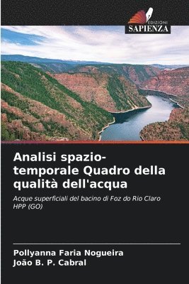 bokomslag Analisi spazio-temporale Quadro della qualit dell'acqua