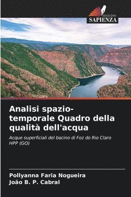 Analisi spazio-temporale Quadro della qualità dell'acqua