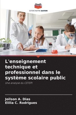 bokomslag L'enseignement technique et professionnel dans le système scolaire public