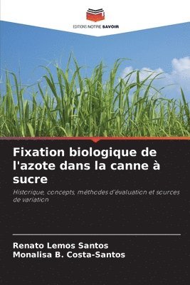 bokomslag Fixation biologique de l'azote dans la canne à sucre