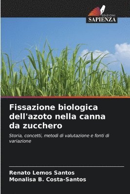 bokomslag Fissazione biologica dell'azoto nella canna da zucchero