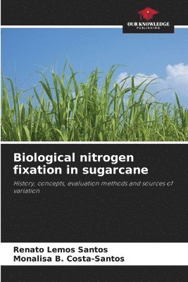 bokomslag Biological nitrogen fixation in sugarcane